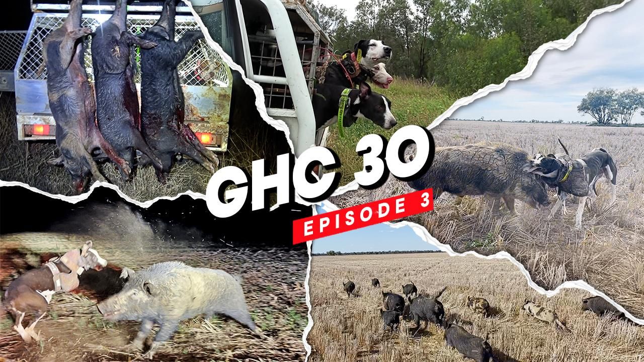 GHC S30 E03