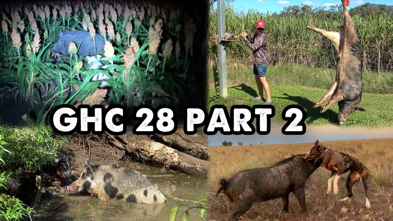GHC 28 P2